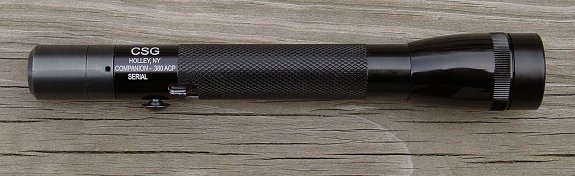 csgflashb.jpg - 29467 Bytes