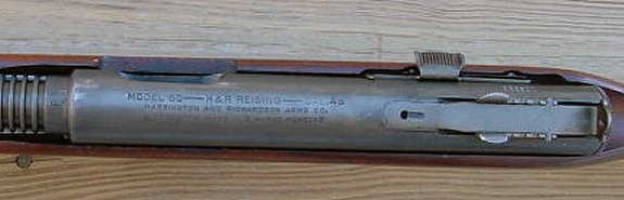 684reisinga.jpg - 24106 Bytes