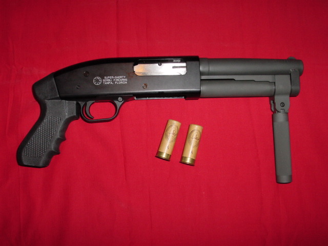 shorty2.jpg - 61231 Bytes