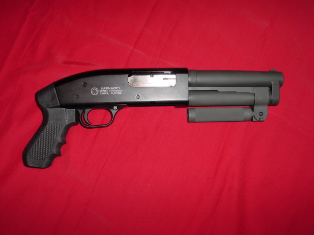 shorty3.jpg - 60281 Bytes