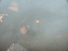 pict7863e.gif - 5471 Bytes