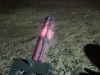 pict7868e.gif - 7373 Bytes